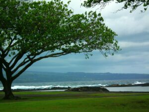 Kona Islander Condo Only $585/week