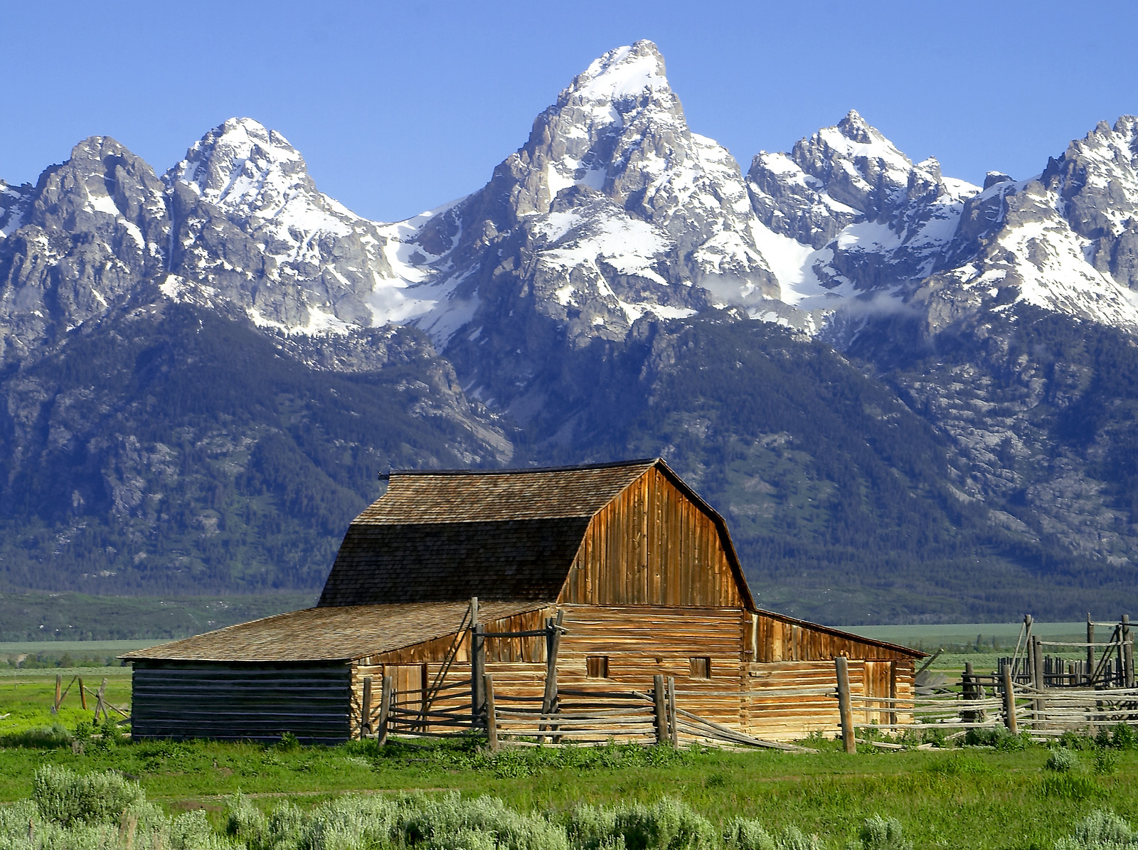 Grand tetons