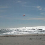 windsurfers in San Diego California