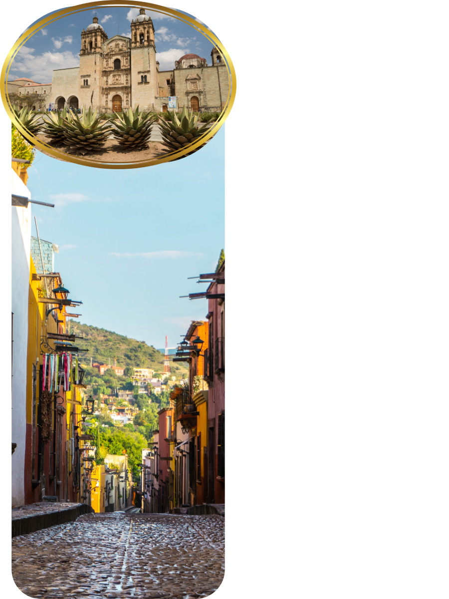 Oaxaca alley and cathedral