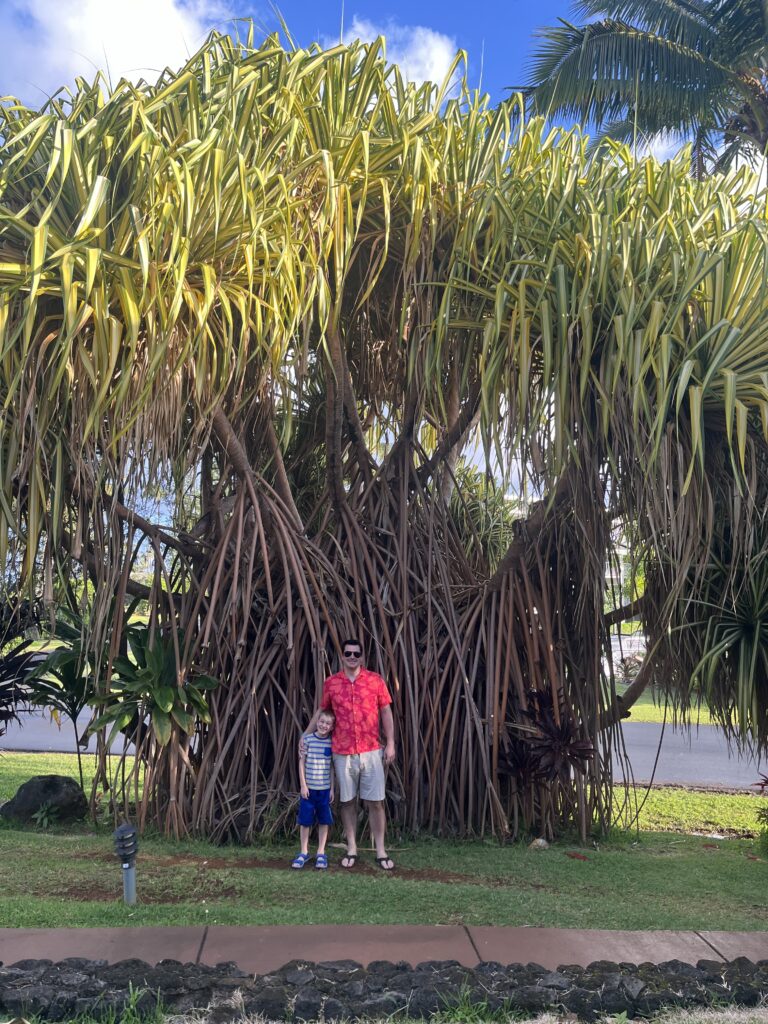 Kauai island Hawaii father and son stand in front of Hala tree